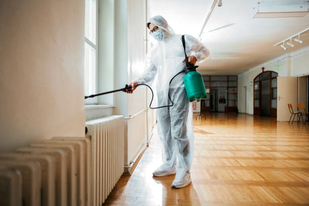 Best Pest Prevention Services  in Anna, IL